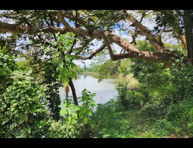 742,854M² FARM FOR SALE IN LEVUBU